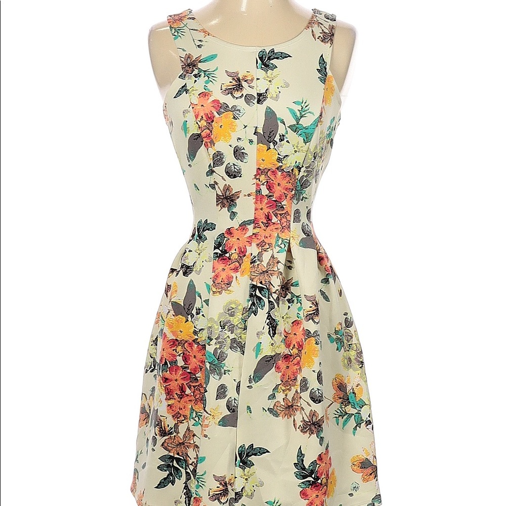 🌟HP🌟Floral Skater Dress